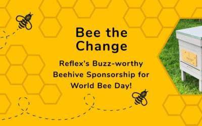 Bee the Change: Reflex’s Buzz-worthy Beehive Sponsorship for World Bee Day!